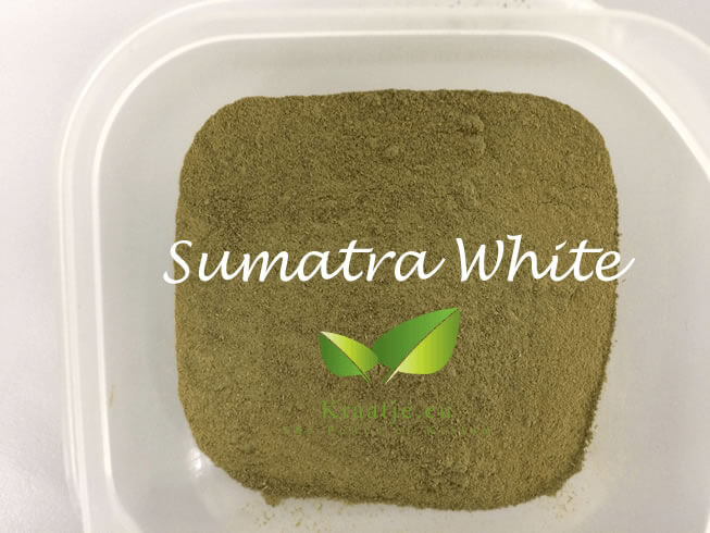 White Sumatra Kratom powder by Kraatje