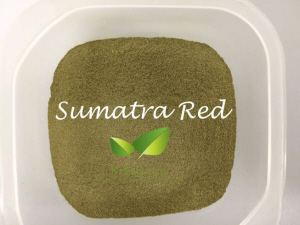 Rode Sumatra Kratom poeder van Kraatje